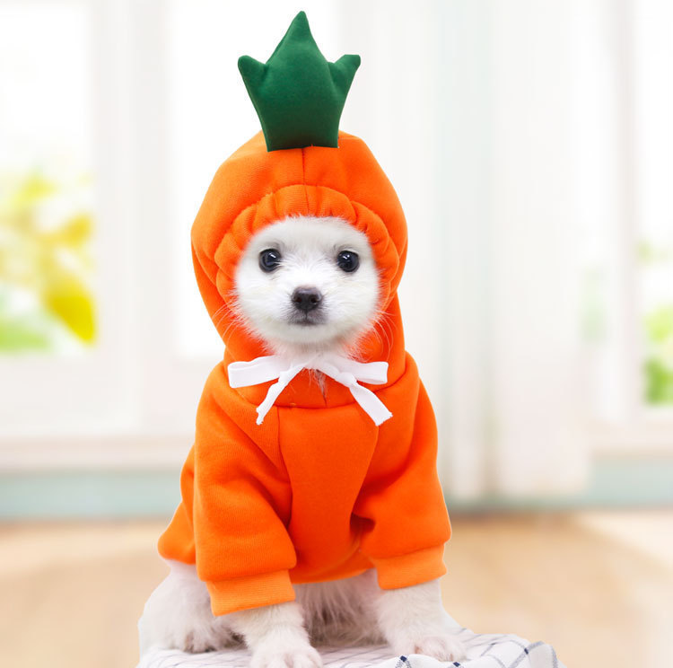 Cute Fruit Dog Clothes For Small Dogs Hoodies Winter Warm Fleece Pet Clothing Puppy Cat Costume Coat For French Chihuahua Outfit - Image 10