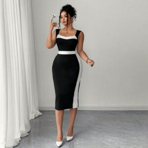 Women's Elegant Intellectual Style Contrasting-color Dress